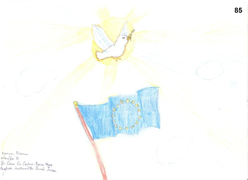 85_Bianca ROMAN_Sc Cosbuc.jpg